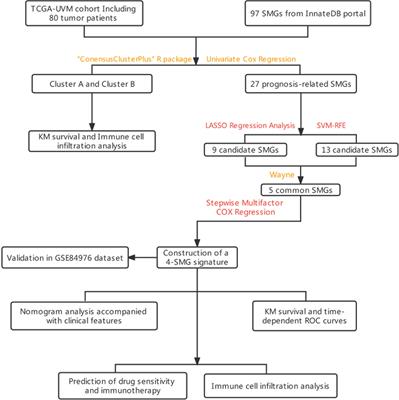 Machine learning to construct sphingolipid metabolism genes signature to characterize the immune landscape and prognosis of patients with uveal melanoma